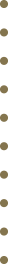 kropki zlote pion